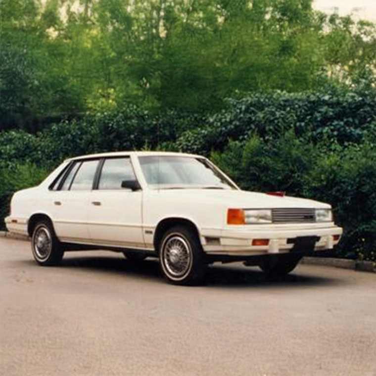 1984 Model