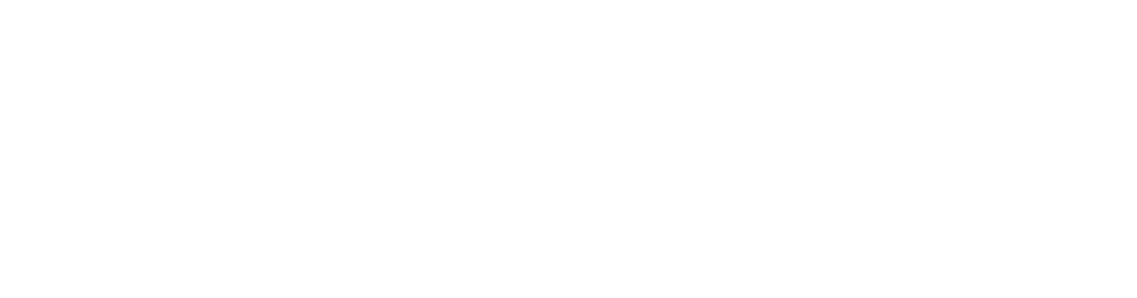 Metro Group Presents Hongqi
